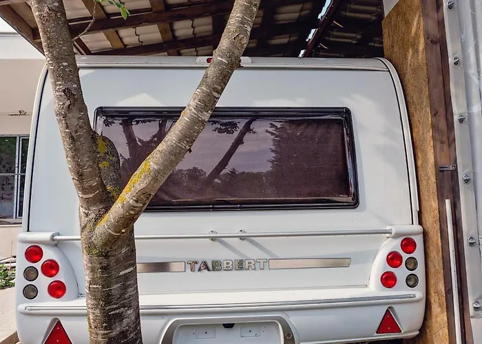 каравани Avi Iris фичоза וארנה