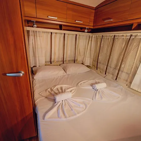 каравани Avi Iris фичоза *